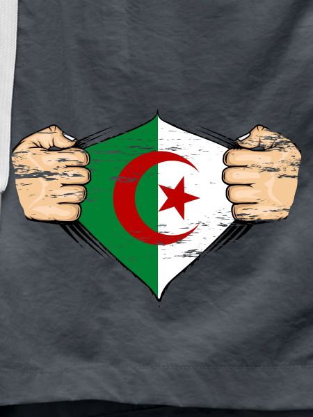 Algeria flag design used