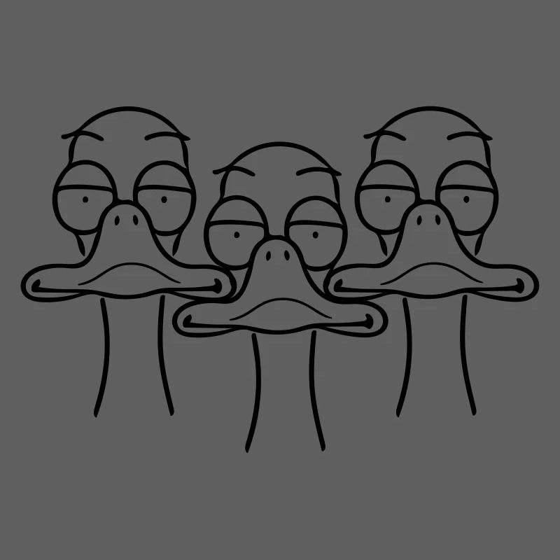 Trois canards drôles