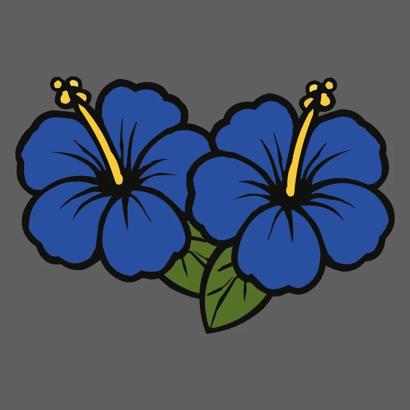 Fleurs d’hibiscus 2
