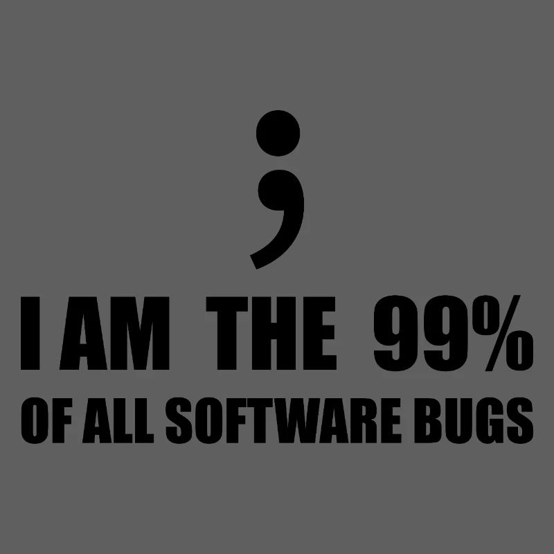 Informatiker, Programmierer