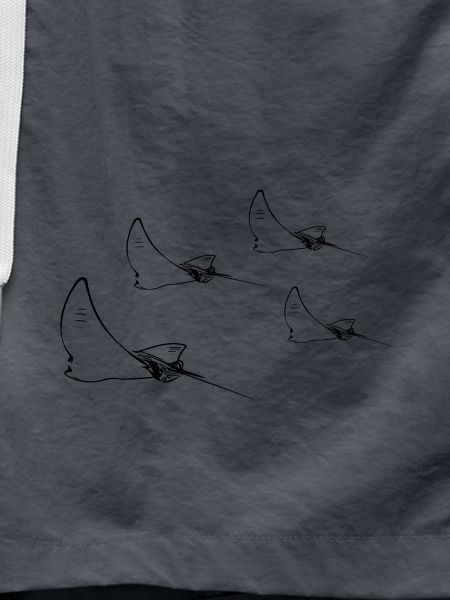 Adlerrochen Flug Formation