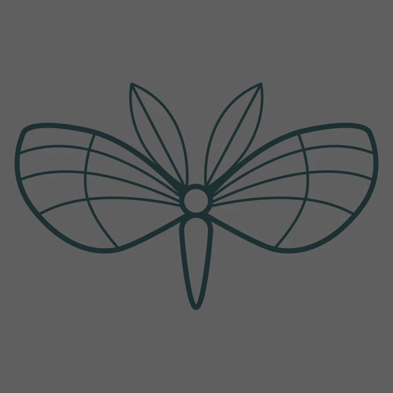 moth with cute stunning wings