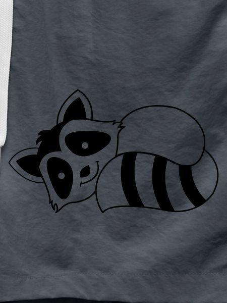 Racoon