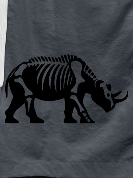 Rhinocerocer