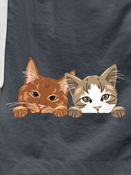Peeking cute two cats