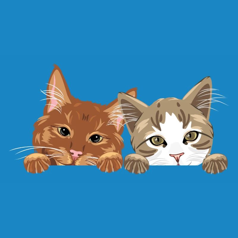 Jeter un coup d’œil mignon deux chats