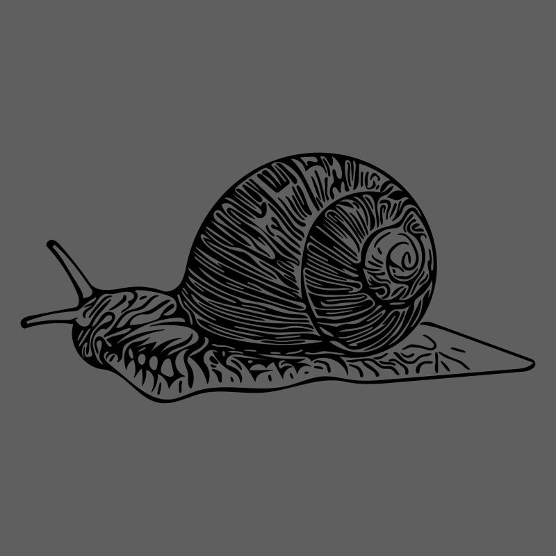 Schnecke