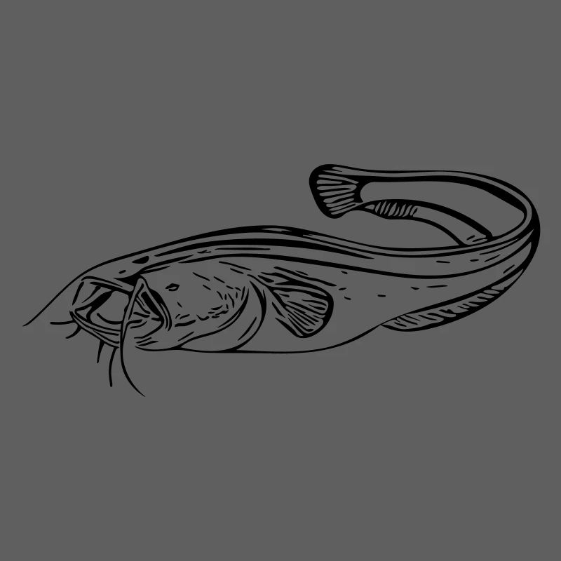 Catfish - angler