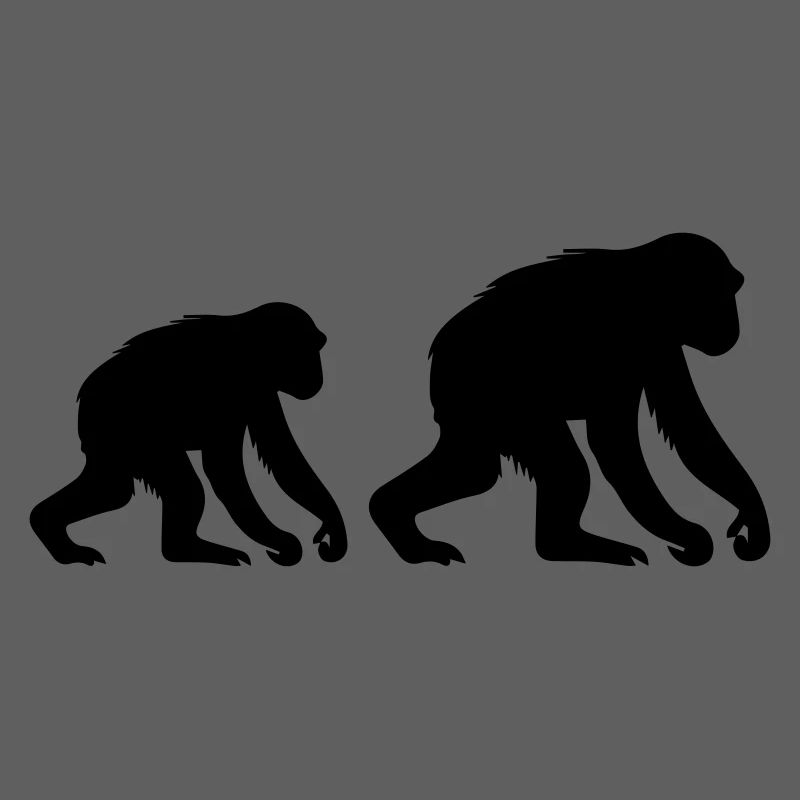 monkeys