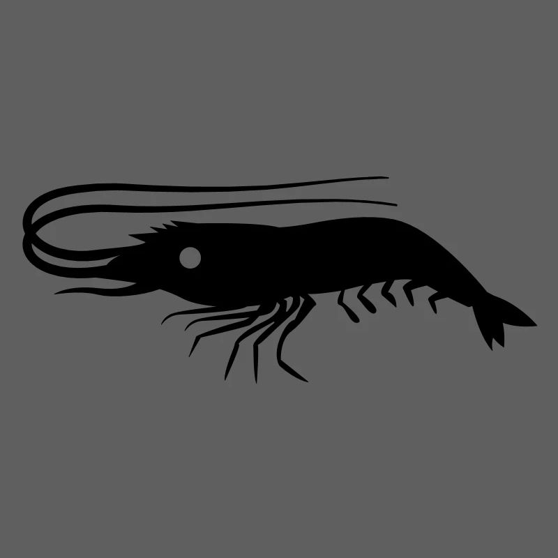 single shrimp prawn with antennae