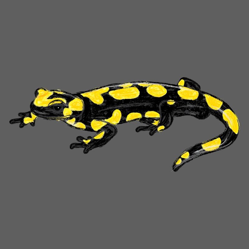 Feuersalamander / Fire Salamander I