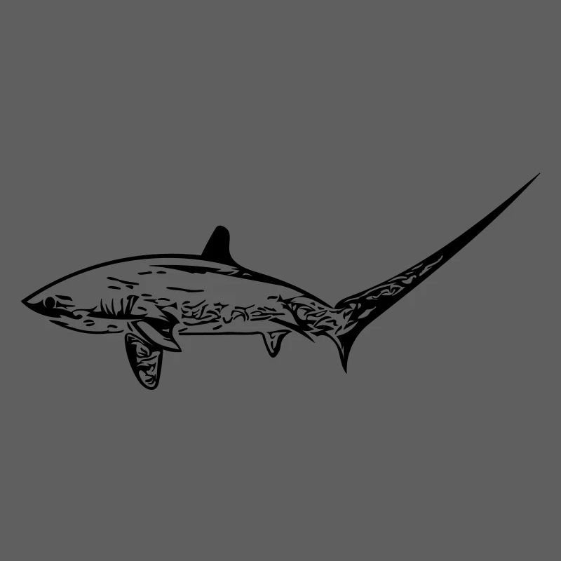 Elegant thresher shark