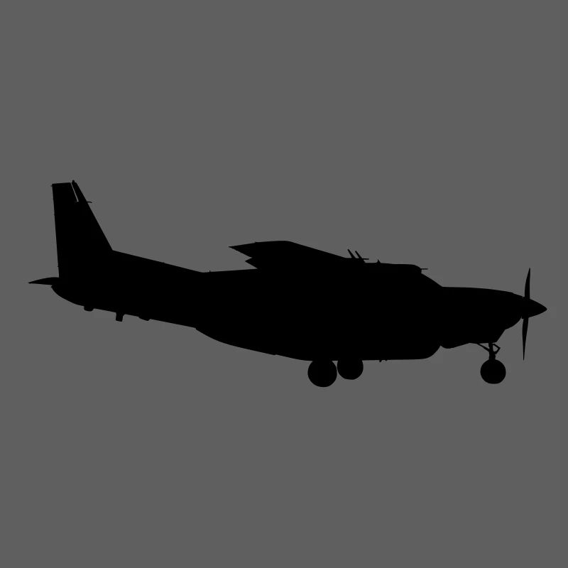 Avion