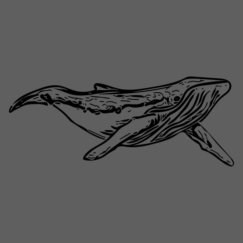 whale