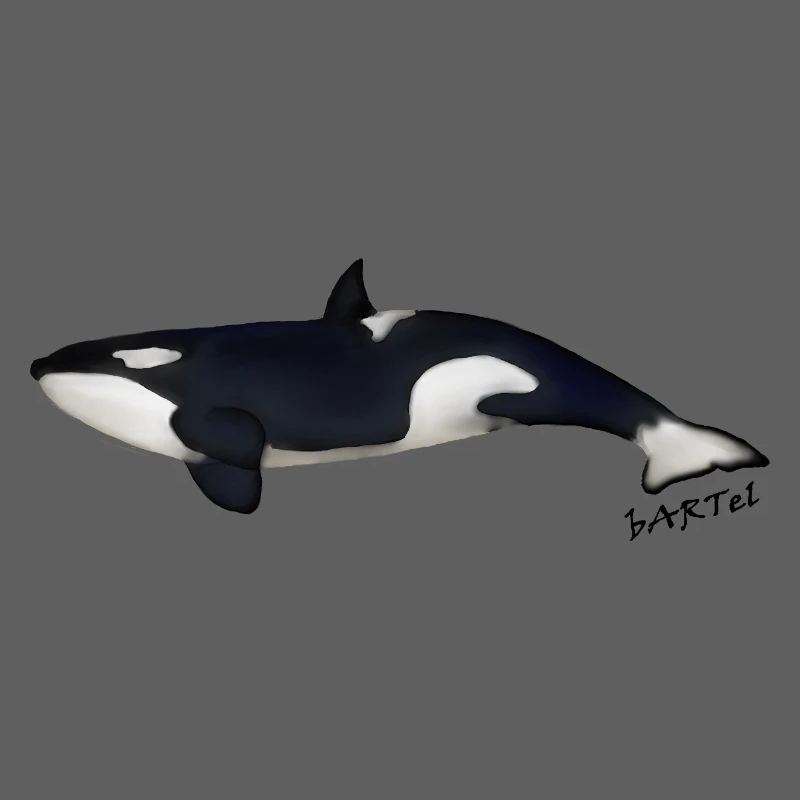 Orca 2