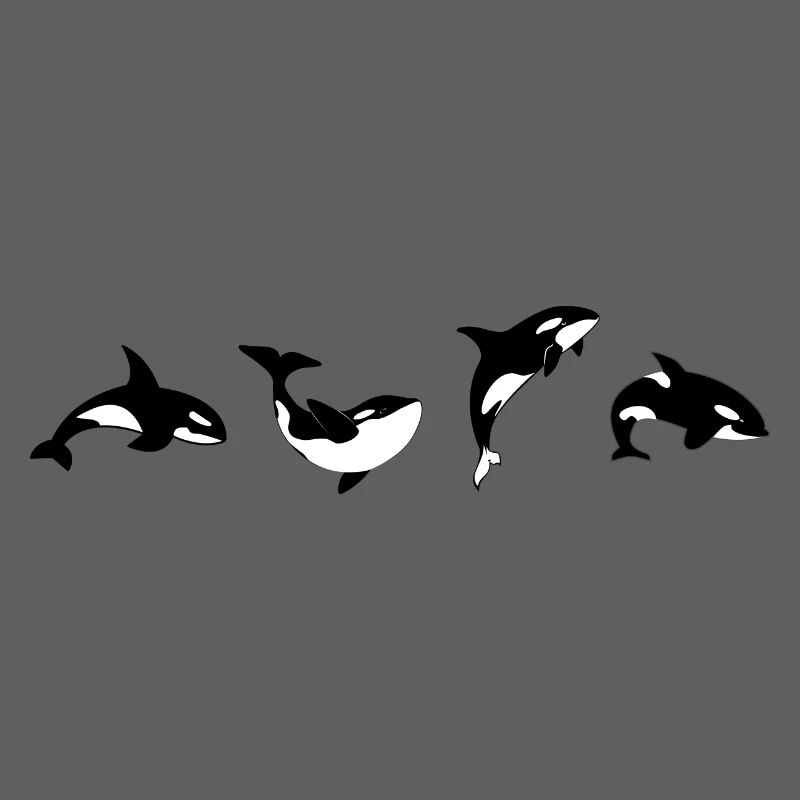Orca Positions - Geschenkidee