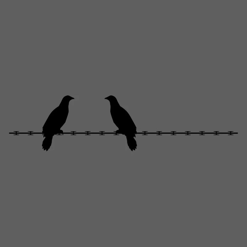 2 deaf pigeons razor barbed security security