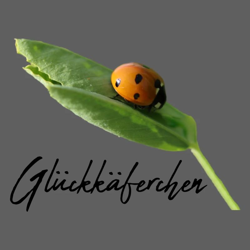 Lucky Beetle Ladybug Lucky Charm