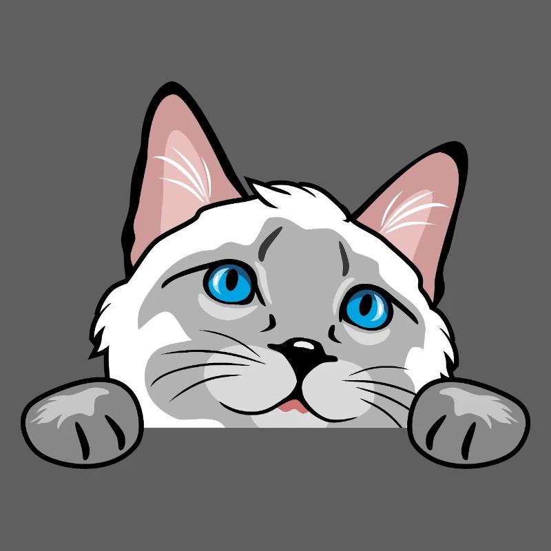 Peeking curious Siamese cat