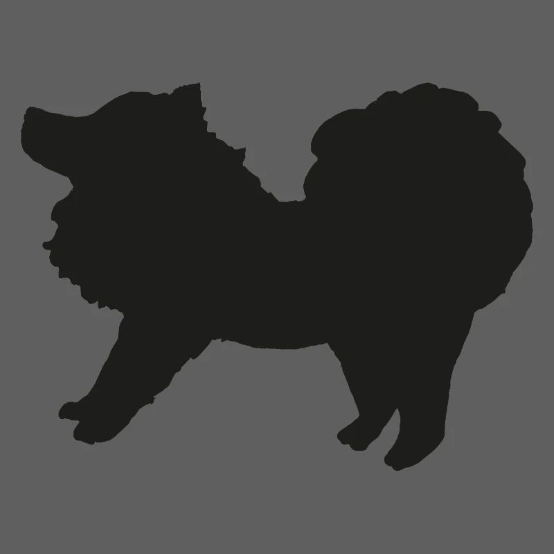 Spitz schwarz