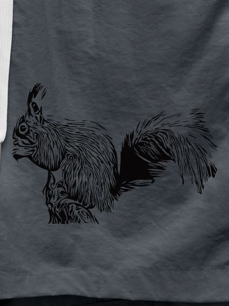 Drollful squirrel