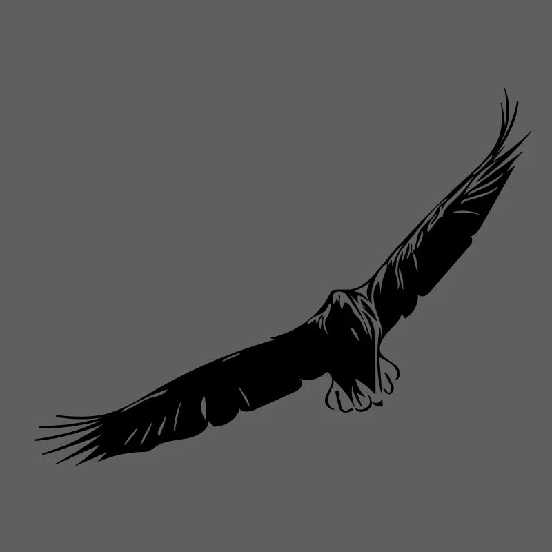 Aigle volant