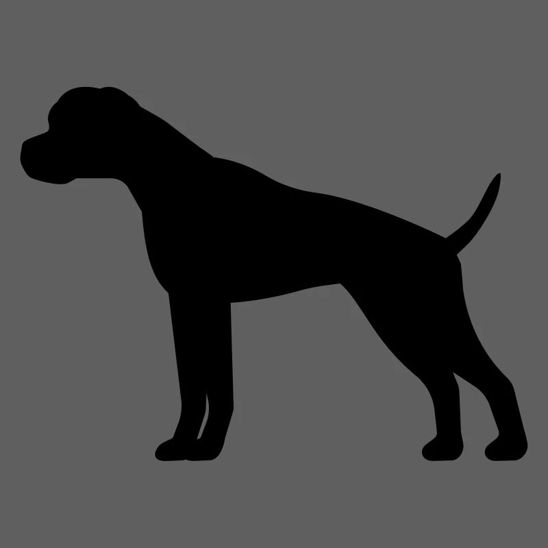 boxer
