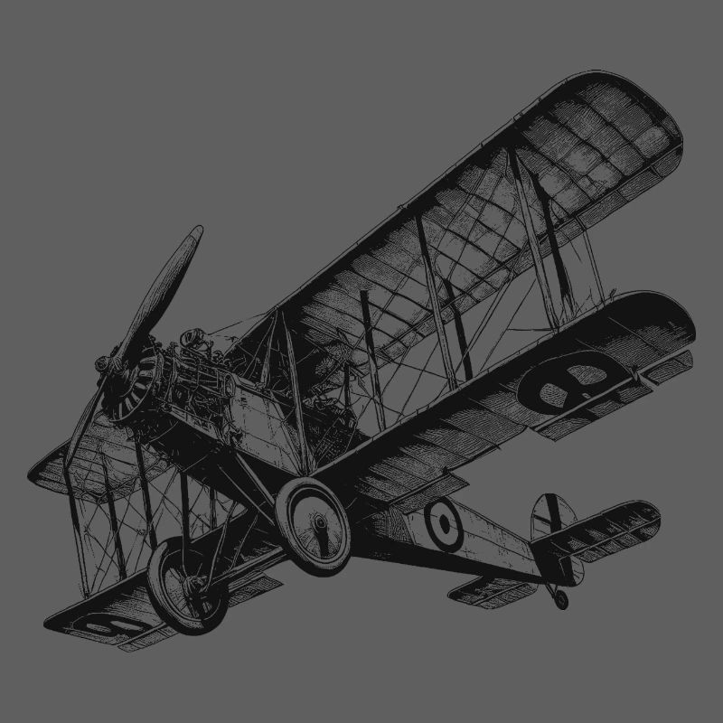 Doppeldecker Flugzeug