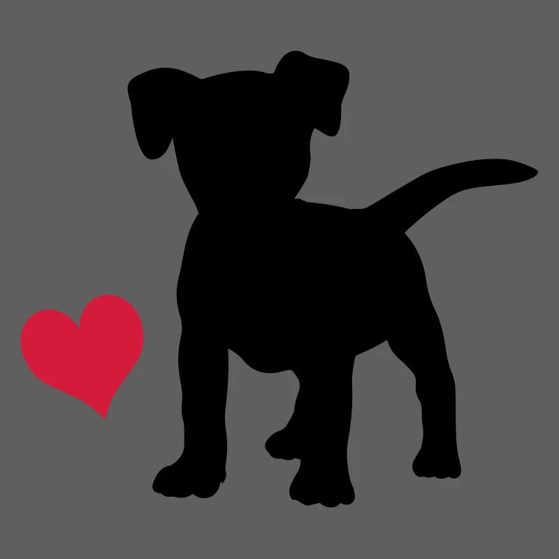 Jack Russell Terrier