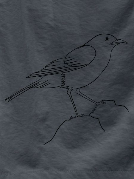 Day of the Bird