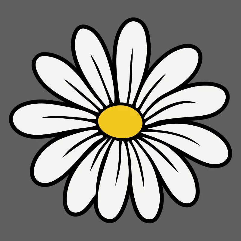 Gänseblümchen