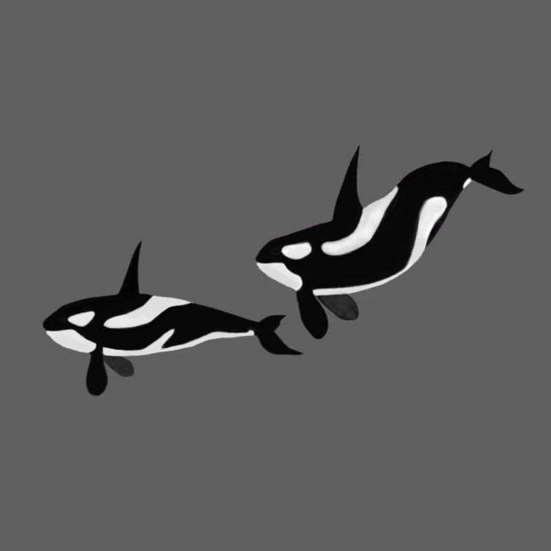 Orcas