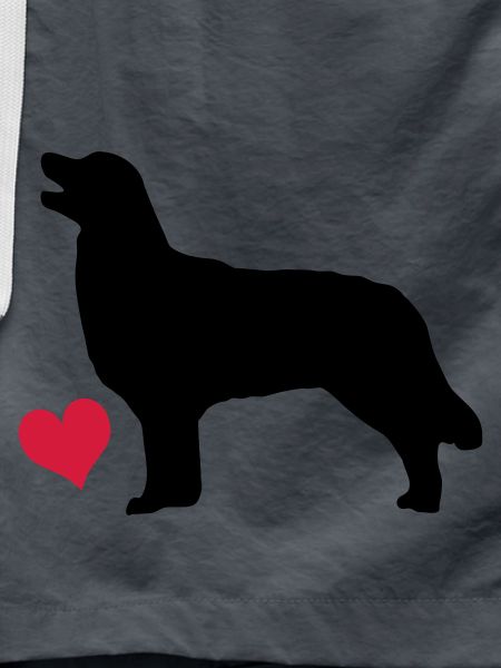 retriever