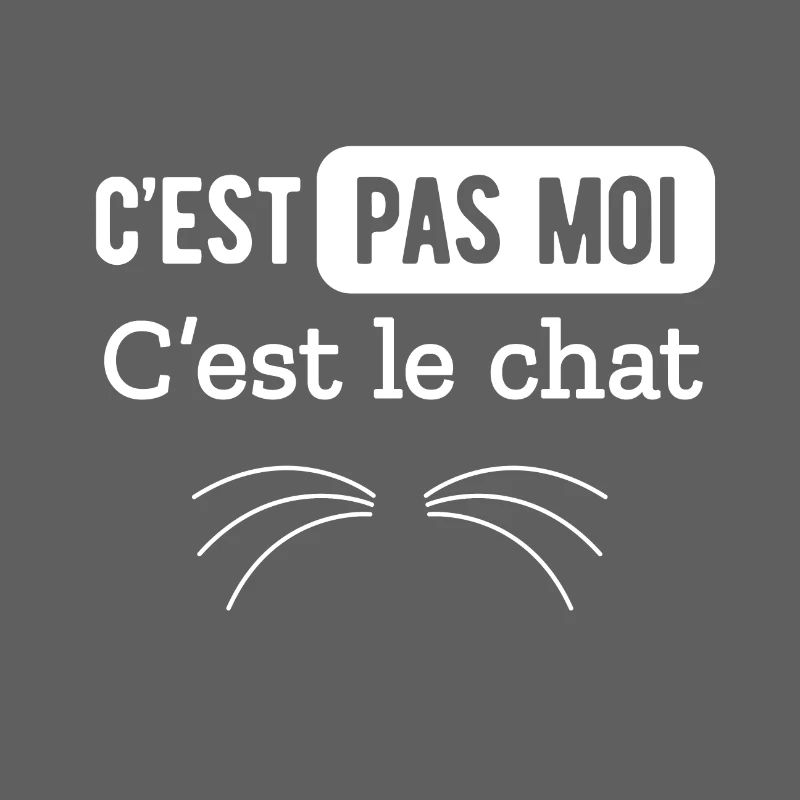 C EST PAS MOI C EST LE CHAT