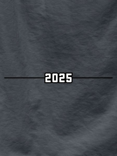 2025 year