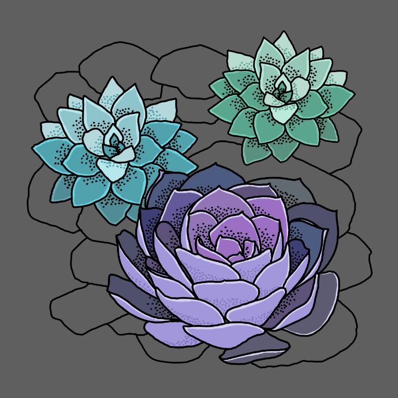 Succulentes