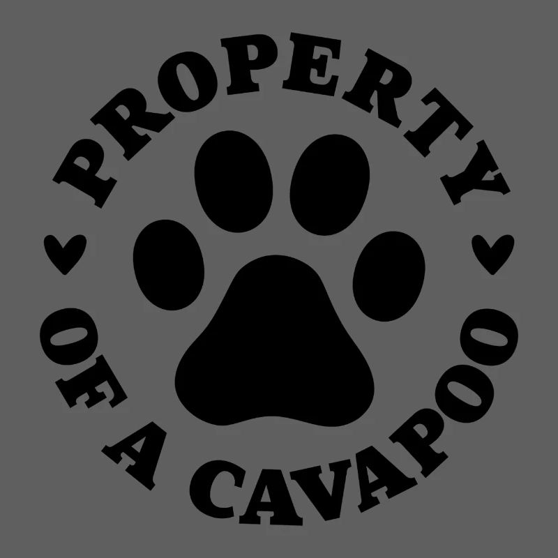Propriété d’un Cavapoo