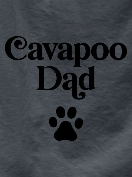 Cavapoo Dad