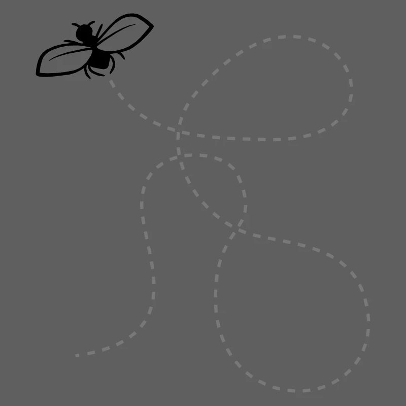 Fly Dashed Line