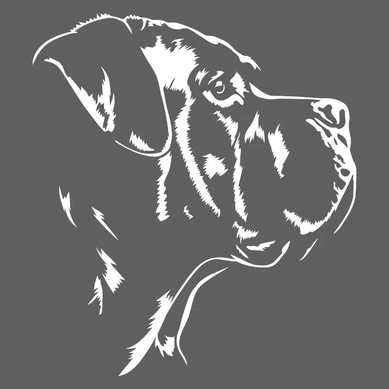 Cane Corso Hund Hunde Wilsigns
