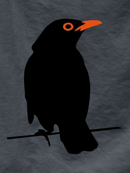 Amsel