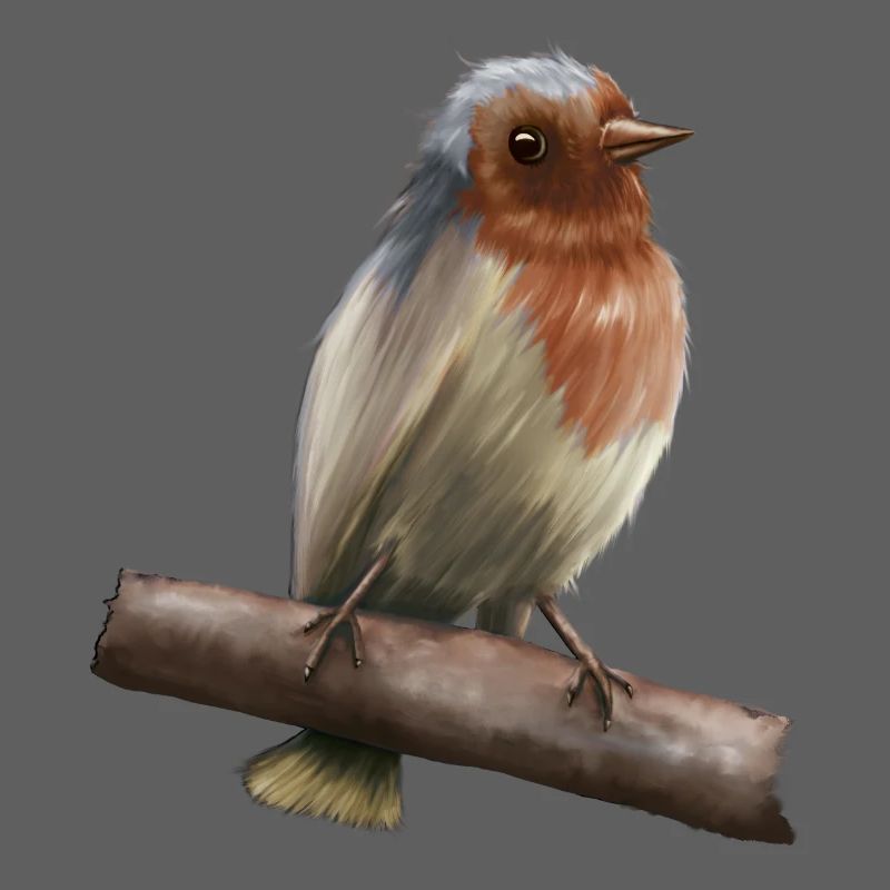 Robin