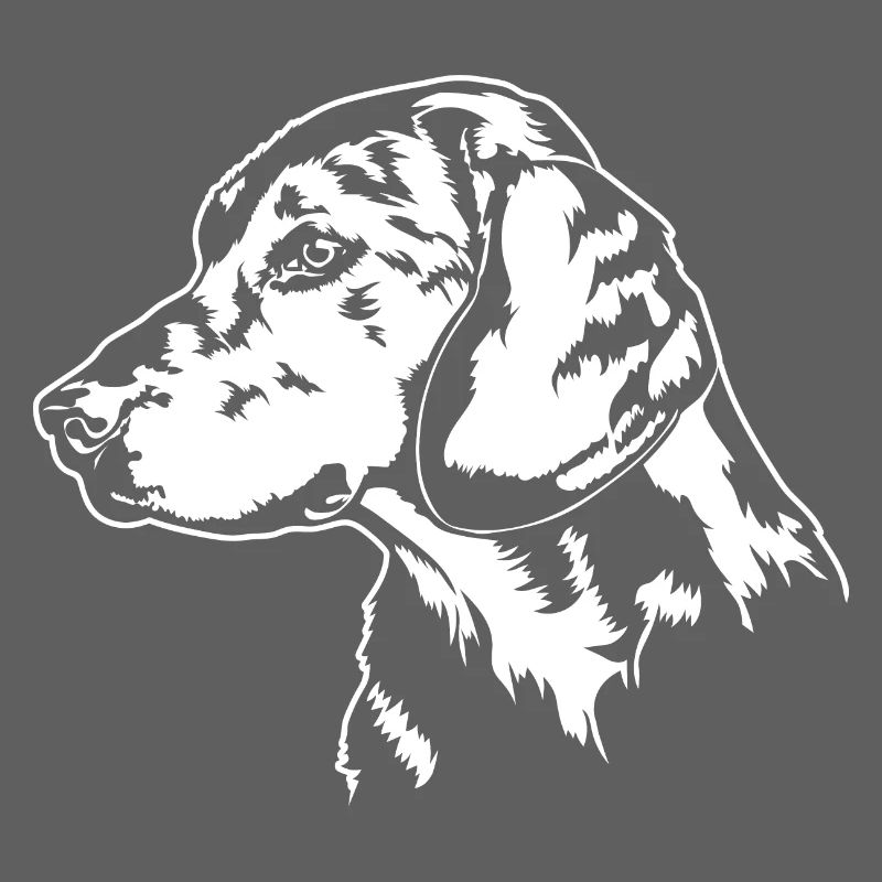 ALPINE DACHSBRACKE Portrait de chien Wilsigns