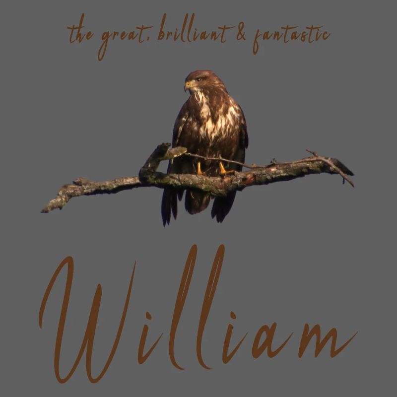 William Willi Geburtstag William