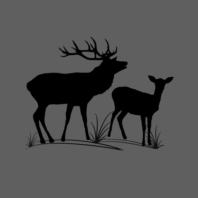Deer, roe deer, fallow deer, forest, animals, deer
