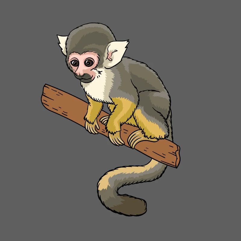 Singe écureuil primate singe écureuil