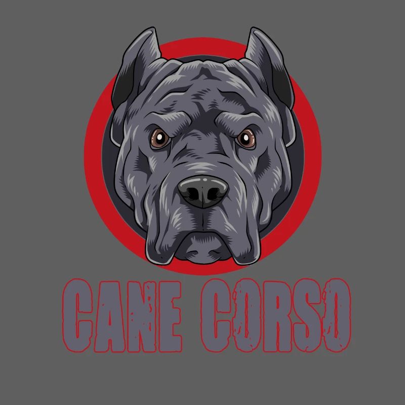 Cane Corso for a Cane Corso owner Cane
