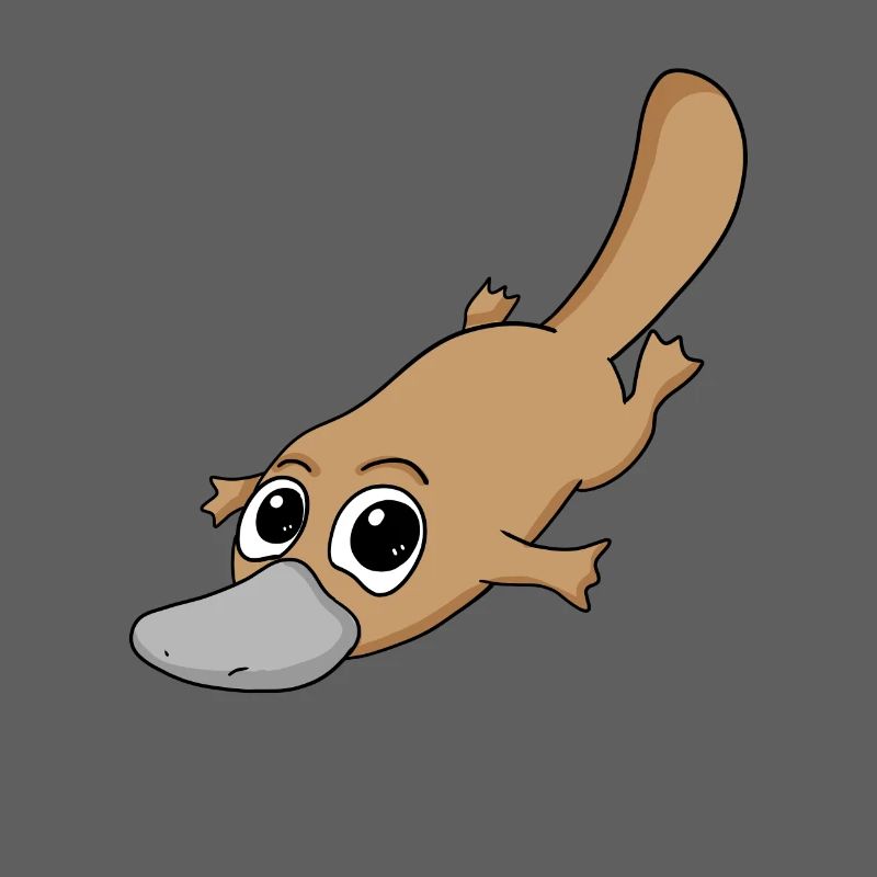 ornithorynque