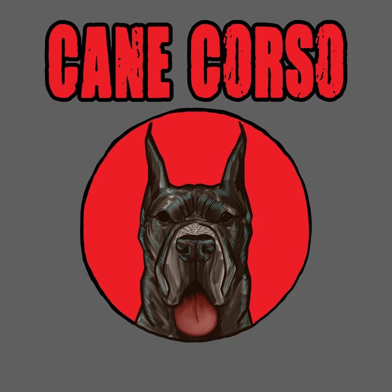 Conception de Cane Corso