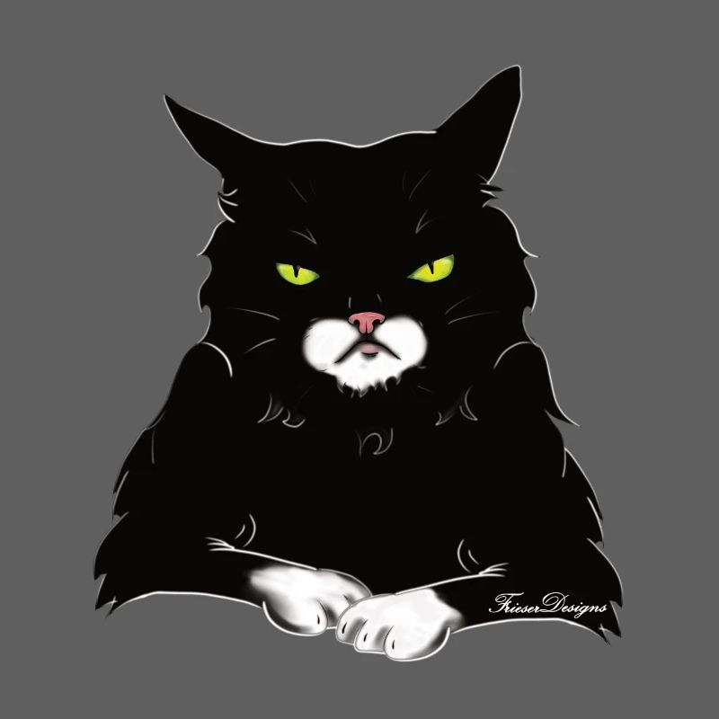 Le chat à la pointe du blanc
